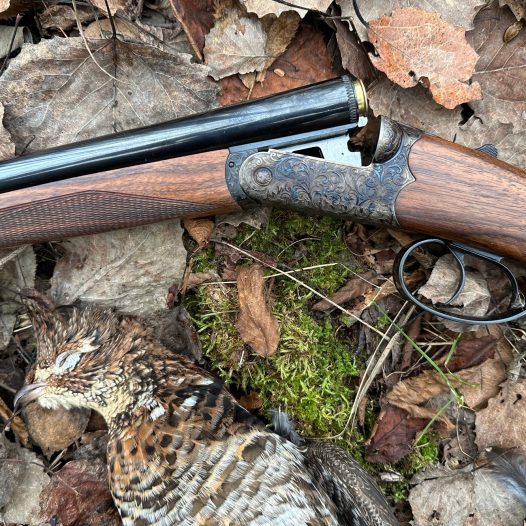 RFM-venus-side-by-side-shotgun-and-ruffed-grouse