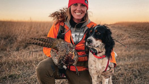 Kali-Parmley-and-English-Setter