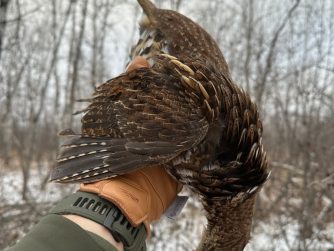 grouse-hunting-with-sitka-gear