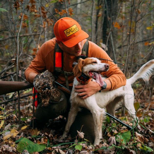 Kevin-Erdvig-grouse-hunting-with-english-setter