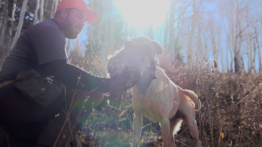 jason-robinson-dusky-grouse